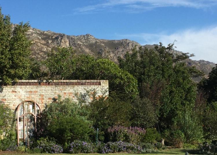 Watermill Studios Gordonʼs Bay Esterno foto