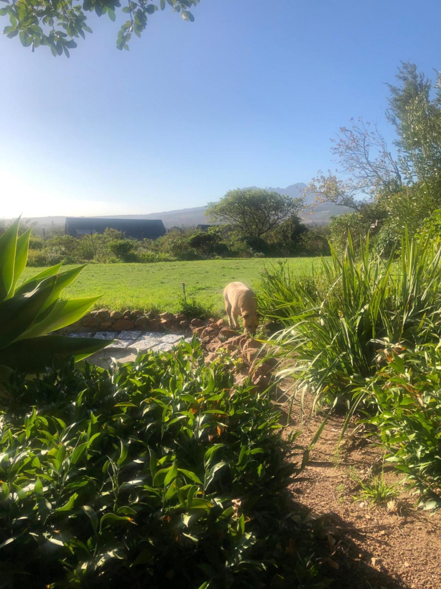 Watermill Studios Gordonʼs Bay Esterno foto
